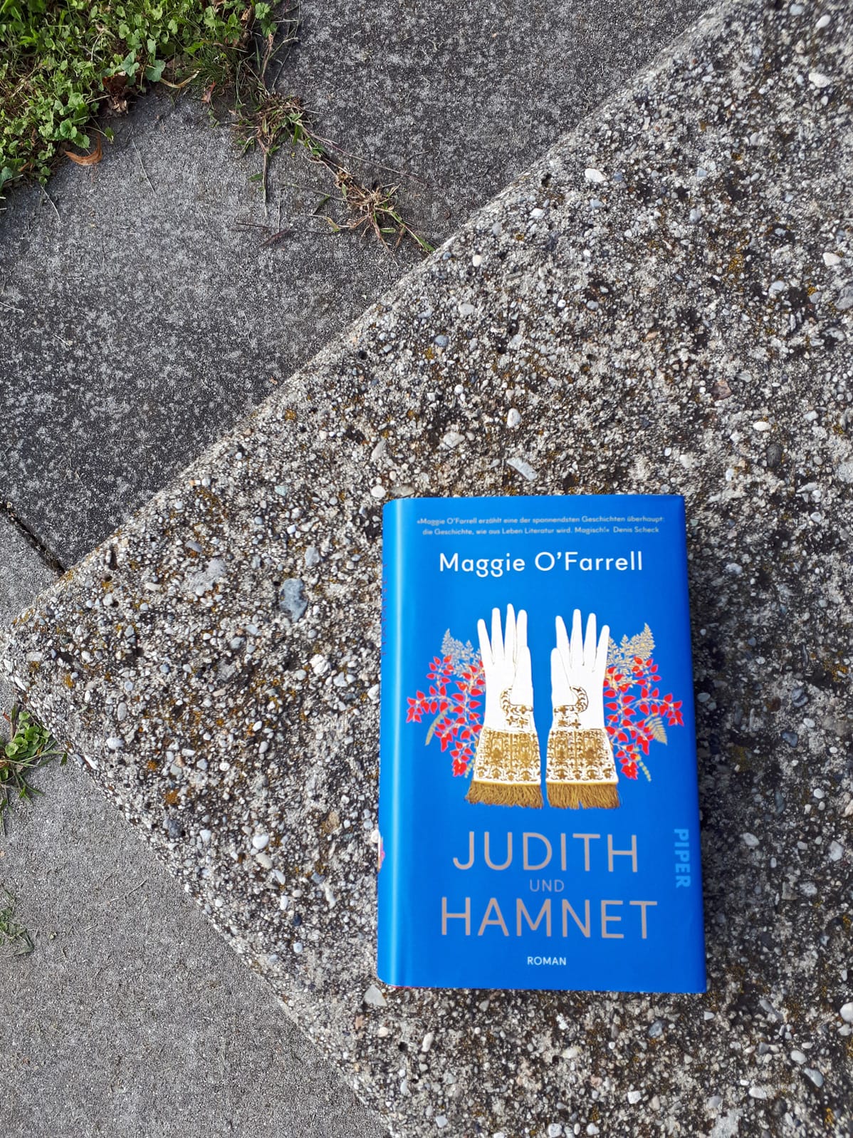 „Judith und Hamnet“ von Maggie O’Farrell hat mich mit seiner magischen Atmosphäre und seinen starken Figuren rund um William Shakespeare überwältigt. Höchste Leseempfehlung!  